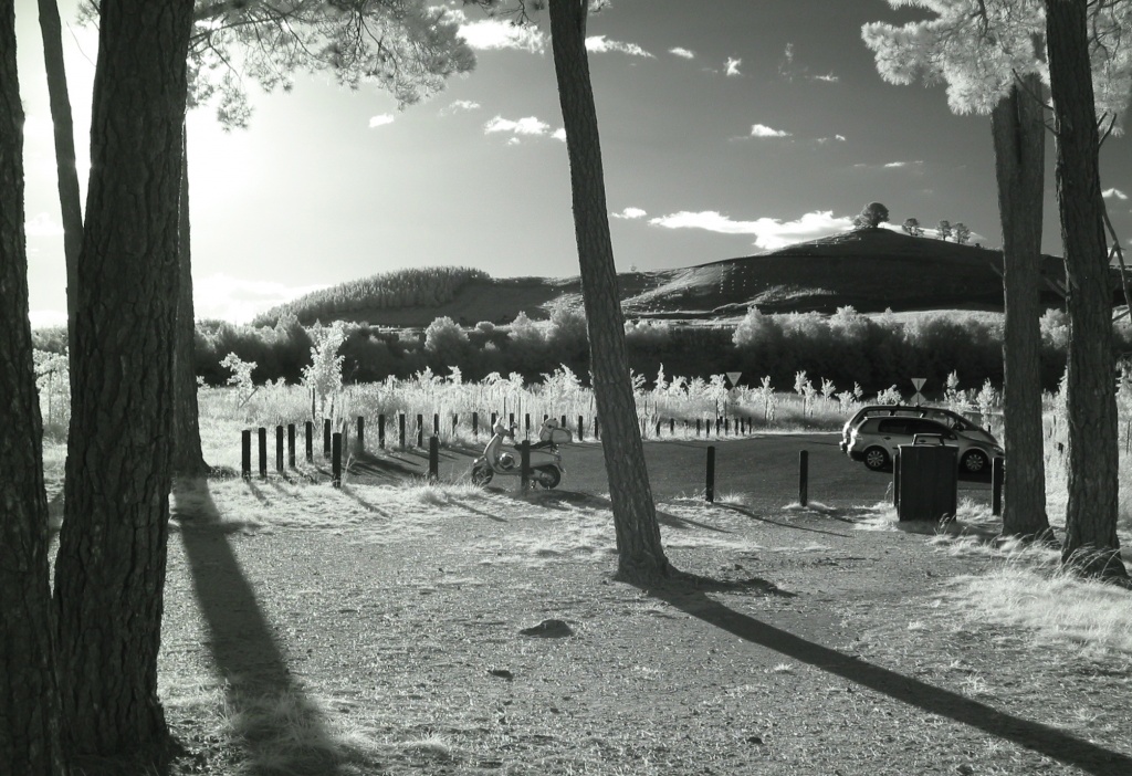 infrared sunny afternoon, looking towards the arboretum  by lbmcshutter