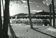 25th Mar 2012 - infrared sunny afternoon, looking towards the arboretum 