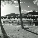 infrared sunny afternoon, looking towards the arboretum  by lbmcshutter