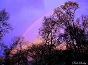 25th Mar 2012 - Amazing Rainbow
