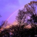 Amazing Rainbow by vernabeth