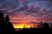 25th Mar 2012 - Spring Sunset 2