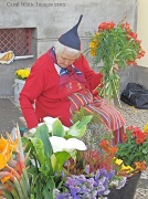 25th Mar 2012 - The Flower Seller