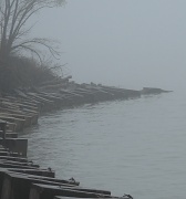 25th Mar 2012 - Foggy Morning