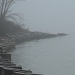 Foggy Morning by brillomick