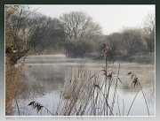 26th Mar 2012 - Mist rising from the river