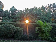 20th Mar 2012 - Sunrise