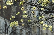 26th Mar 2012 - Sunny spring day