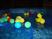 26th Mar 2012 - Duck Balls