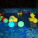Duck Balls by bulldog