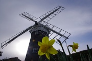 25th Mar 2012 - Stow windmill