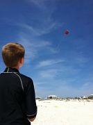 19th Mar 2012 - let's go fly a kite...