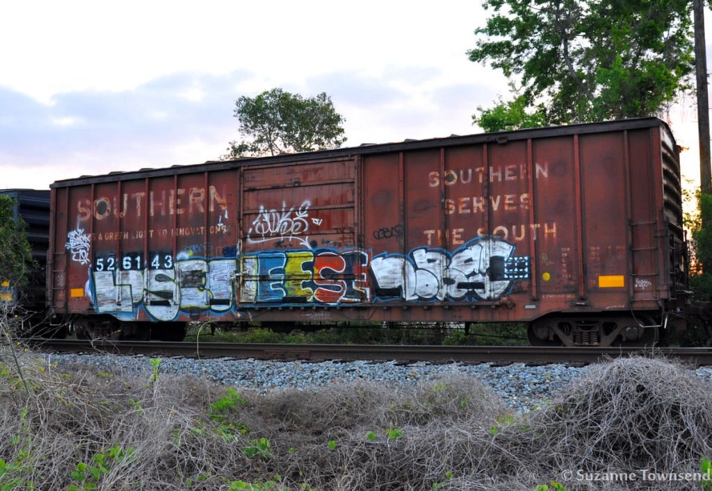 Train Graffiti by stownsend