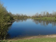 27th Mar 2012 - Clifton Moor lake