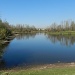 Clifton Moor lake by if1