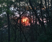26th Mar 2012 - Sunrise