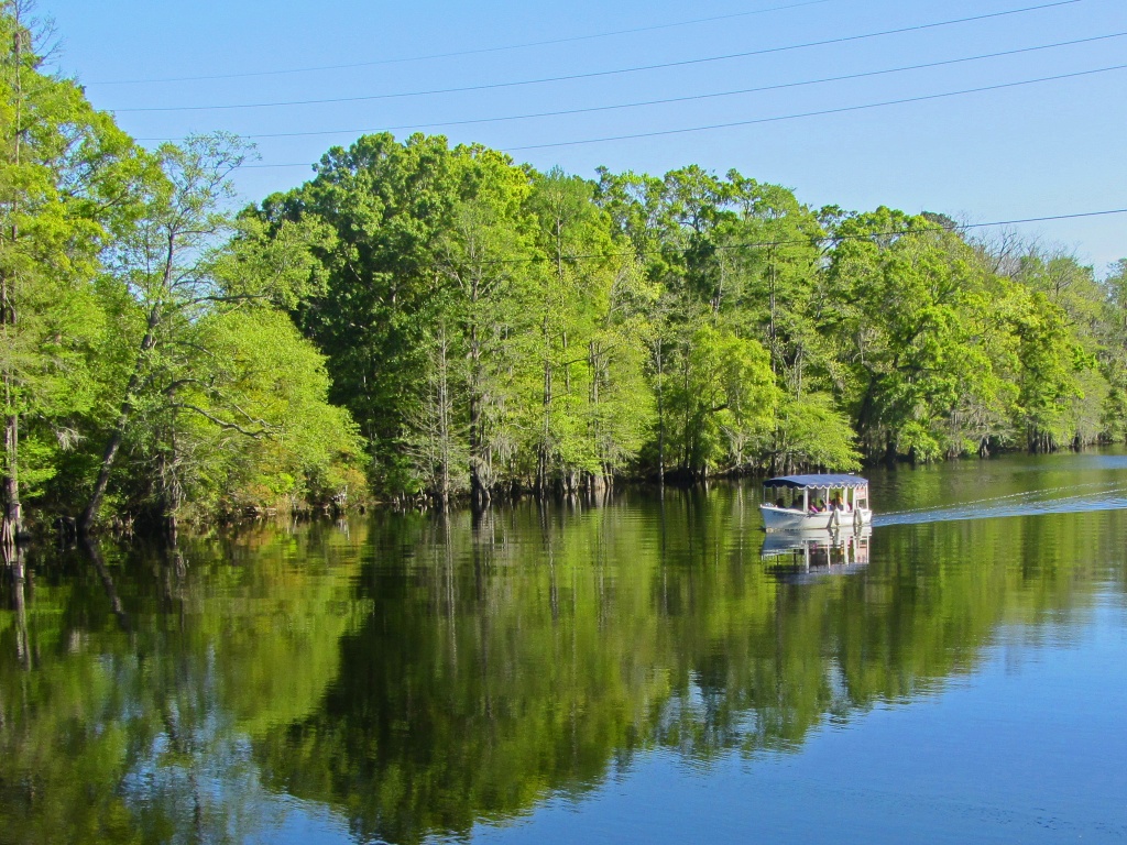 Waccamaw River Tour Boat by hjbenson
