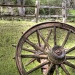 Wagon Wheel by lynne5477