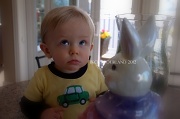 23rd Mar 2012 - If I Don't Look The Bunny Won't See Me
