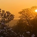 Magnolia Sunset by harveyzone