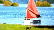 27th Mar 2012 - Red Sails