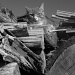 Cat on Wood by wenbow