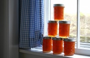 28th Mar 2012 - Orange Marmalade 