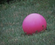 29th Mar 2012 - Red Rubber Ball