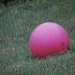 Red Rubber Ball by grammyn