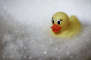 29th Mar 2012 - Bubble Bath