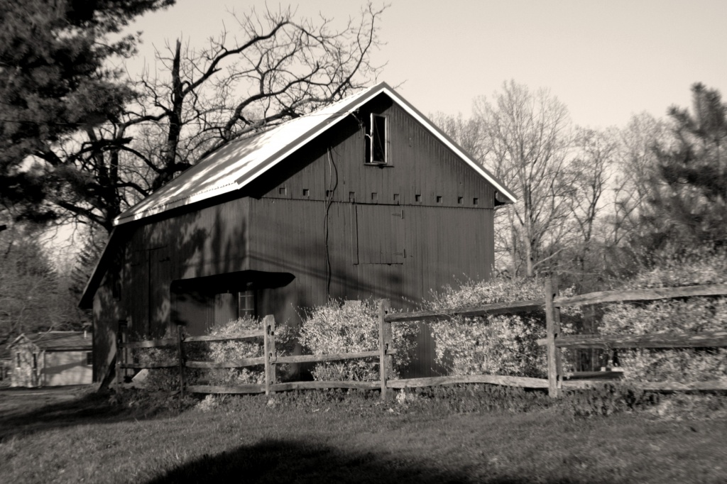 A Little Country Barn by digitalrn