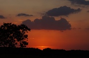 30th Mar 2012 - Sunset Over Orange Groves