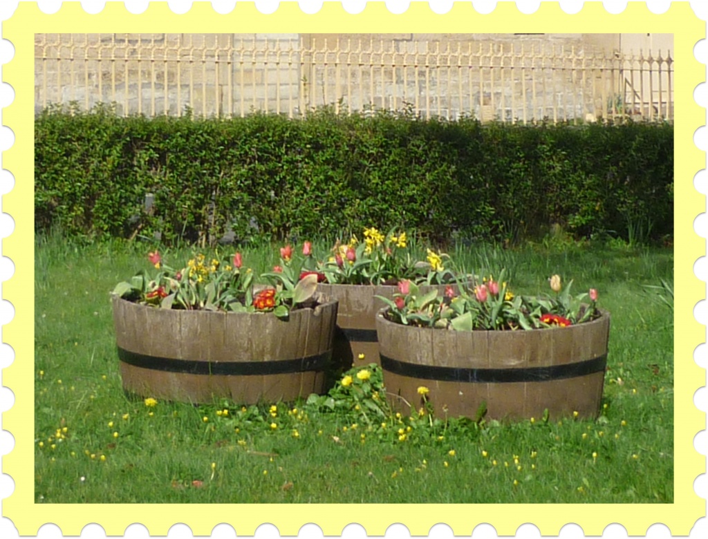 Spring Barrels by sarah19