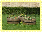 1st Apr 2012 - Spring Barrels