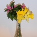 Bouquet by julie