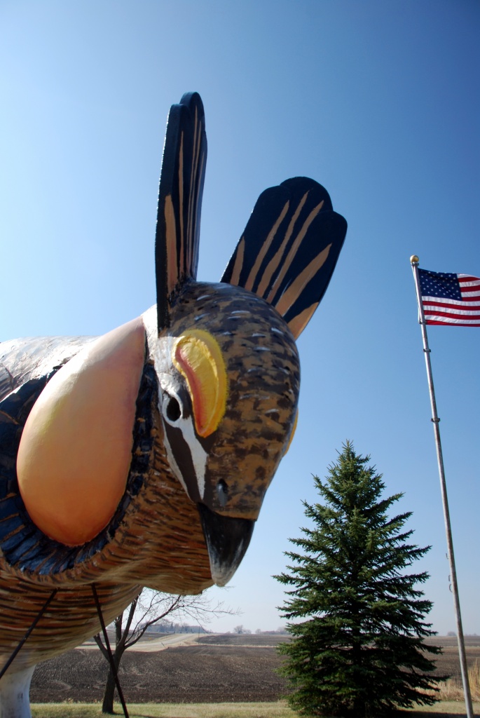 Giant Prairie Chicken by dakotakid35