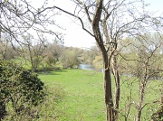 1st Apr 2012 - Barford Meadows 