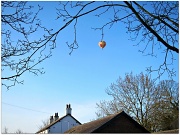 1st Apr 2012 - Up,up & away in your beautiful balloon!