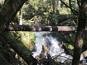27th Mar 2012 - Framed Falls