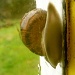 How Snails escape the rain by pandorasecho