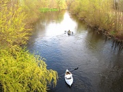 30th Mar 2012 - Down the river