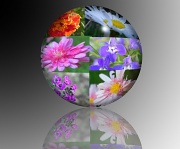 2nd Apr 2012 - Sphere