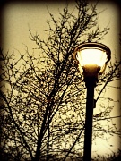 30th Mar 2012 - streetlamp