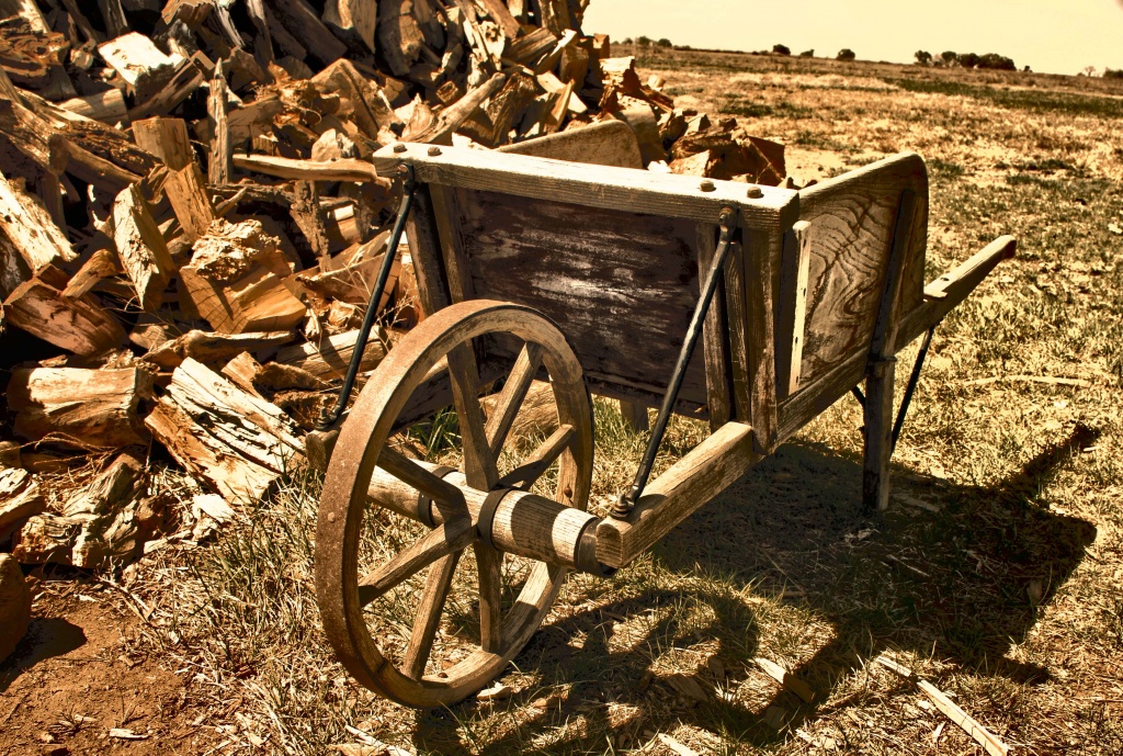 antique wheel barrow  by dmdfday
