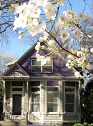 2nd Apr 2012 - Spring home