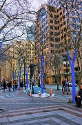 1st Apr 2012 - The Blue Trees Project Come To Seattle Westlake Plaza