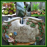1st Apr 2012 - Lynda's Garden