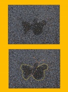3rd Apr 2012 - Butterfly Bliss