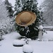 From sunhat to snow. by jmj