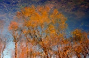 4th Apr 2012 - Impressionism In Pastels